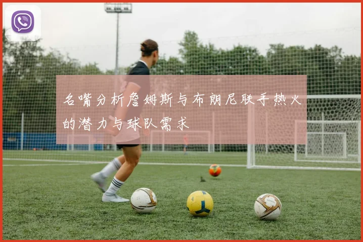 名嘴分析詹姆斯与布朗尼联手热火的潜力与球队需求