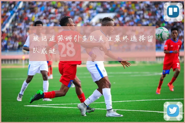 狼记道苏姆引多队关注最终选择留队成谜